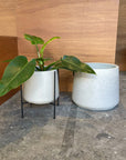 U-Planter Wide  ユープランター ワイド