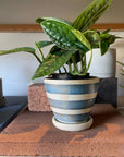 Stoney Cobalt blue & Shino Planter by Sandra Bowkett ストーニーコバルトブルー&シノ プランター