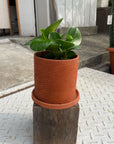 Essie Planter エッシ プランター