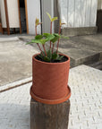 Essie Planter エッシ プランター