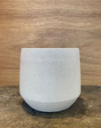 Fitzroy Planter  フィッツロイプランター