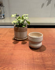 Stoneware Curve Cup in Stone by Kristin Olds ストーンウェア カーブカップ