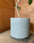 Shadow Planter シャドウプランター