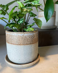 Speckle White Dip Planter by Arcadia Scott　スペックル ホワイトディッププランター