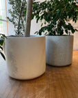 Shadow Planter シャドウプランター