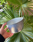 Tin Bucket Small トタン豆バケツ