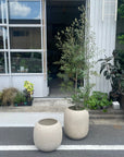 Sandy pot サンディポット