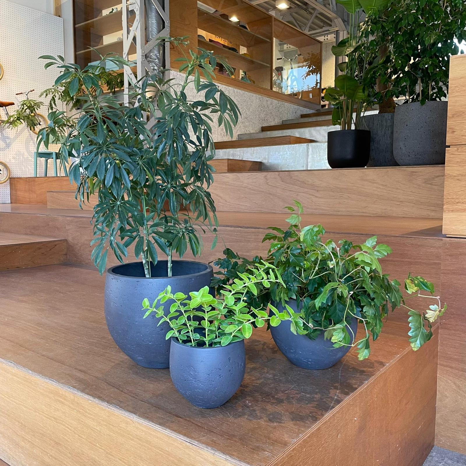 Round Planter ラウンドプランター