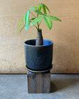 Midnight Navy Planter ミッドナイトネイビープランター