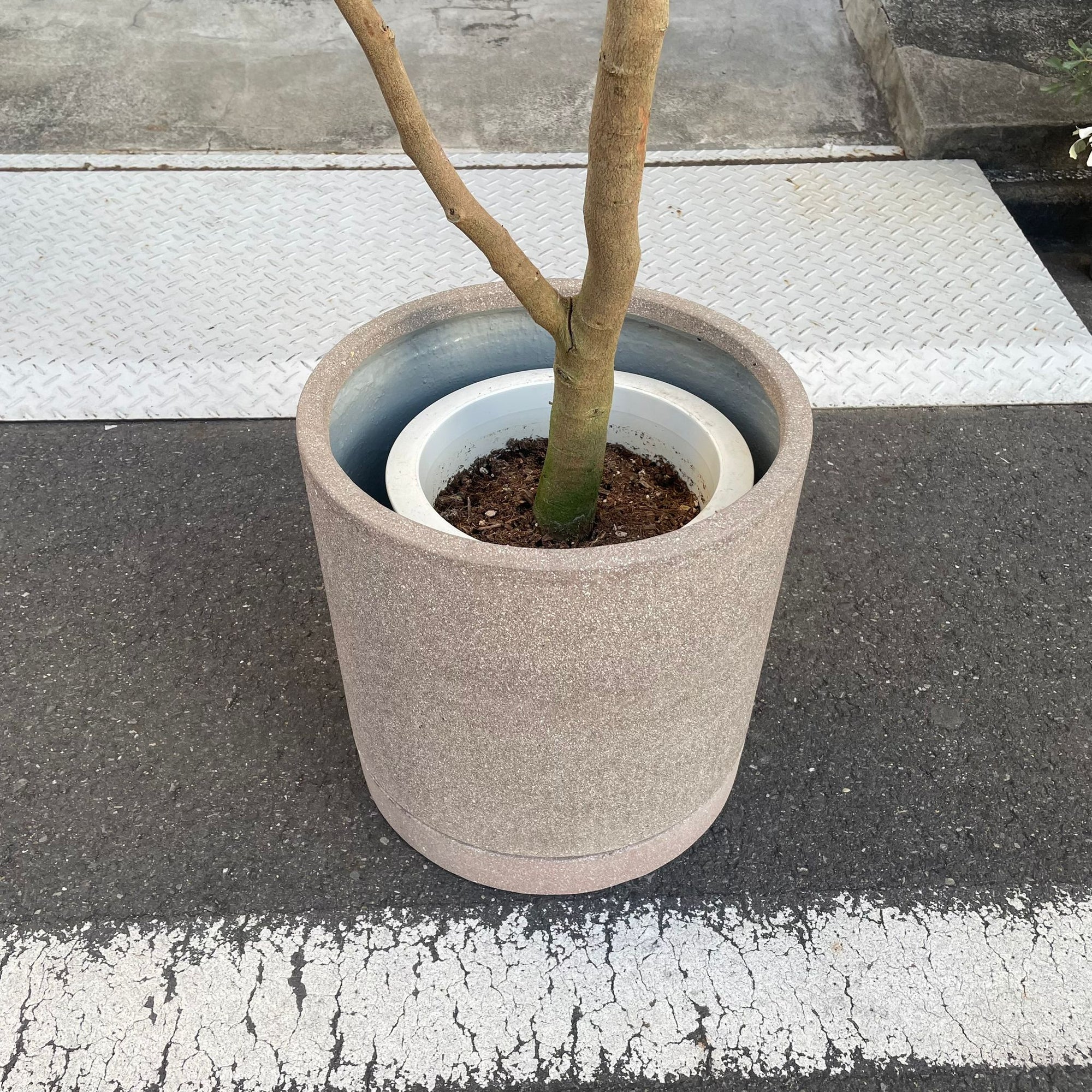 Cylinder Speckle Planter in Earthy Colour with Saucer  シリンダー スペックルプランター ソーサー付