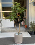 Cylinder Speckle Planter in Earthy Colour with Saucer  シリンダー スペックルプランター ソーサー付