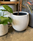 Eggshell Planter エッグシェルプランター
