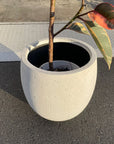 Eggshell Planter エッグシェルプランター