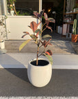 Eggshell Planter エッグシェルプランター