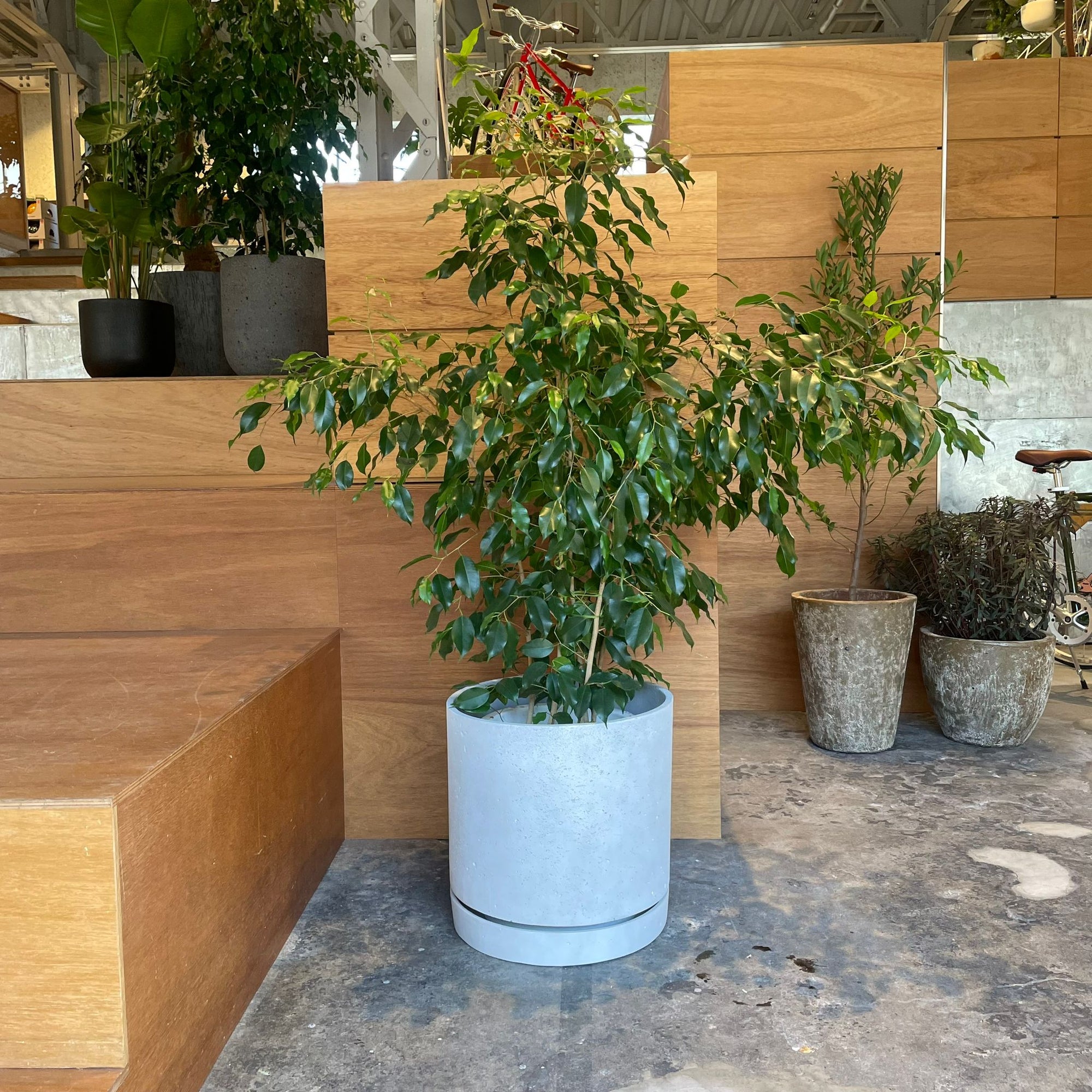 Speckle Planter with saucer  スペックルプランター ソーサー付