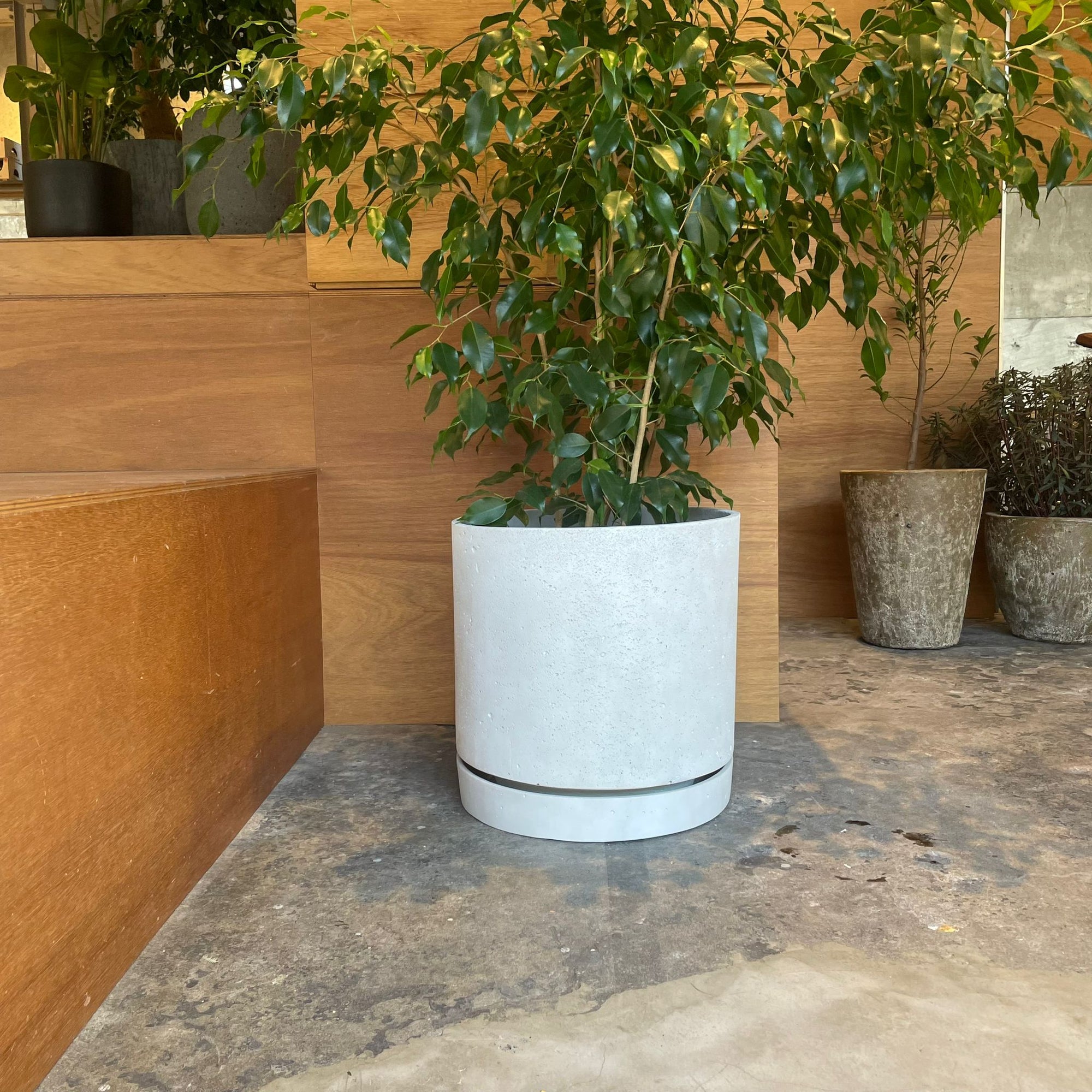 Speckle Planter with saucer  スペックルプランター ソーサー付