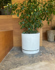 Speckle Planter with saucer  スペックルプランター ソーサー付