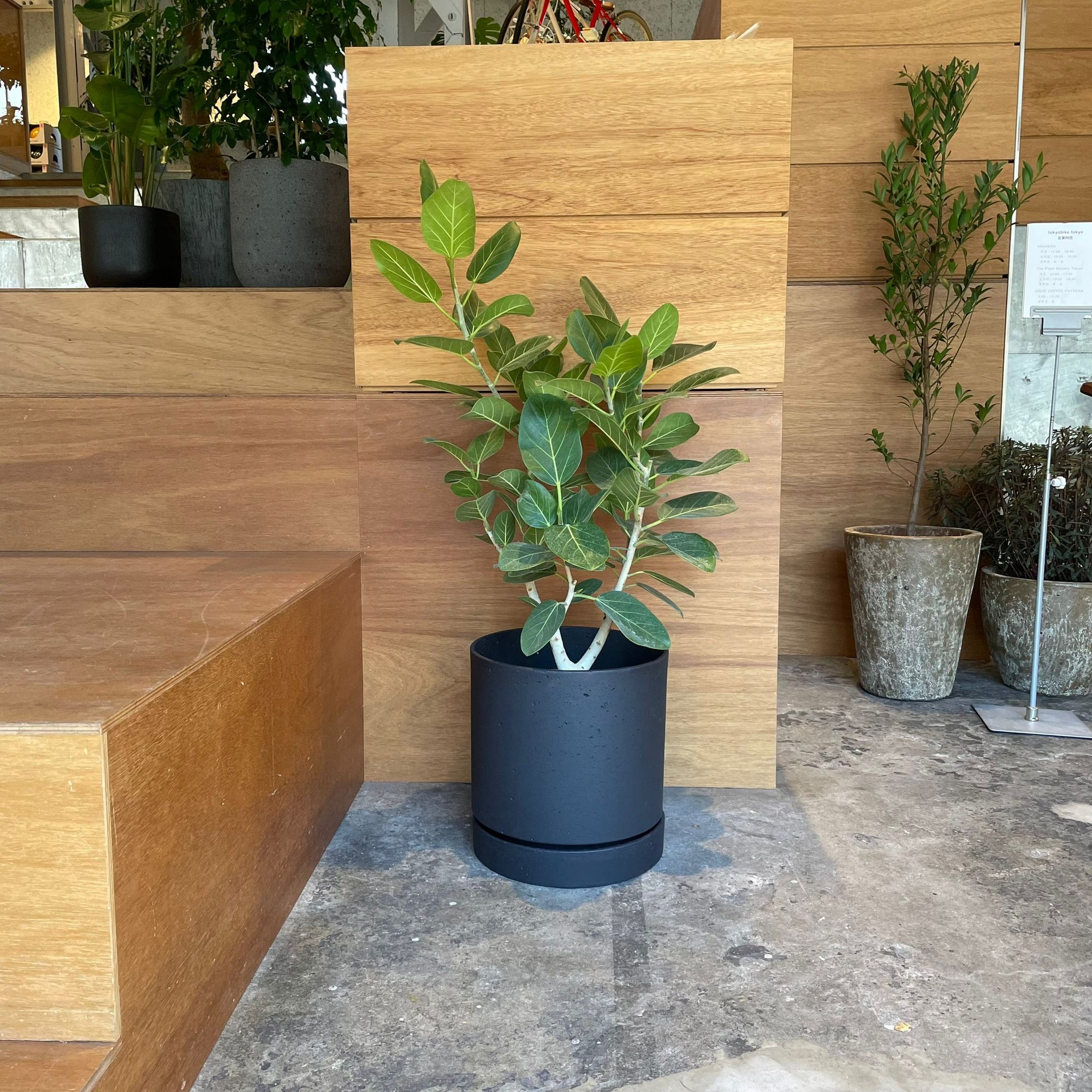 Speckle Planter with saucer  スペックルプランター ソーサー付