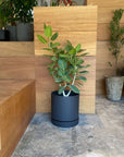 Speckle Planter with saucer  スペックルプランター ソーサー付