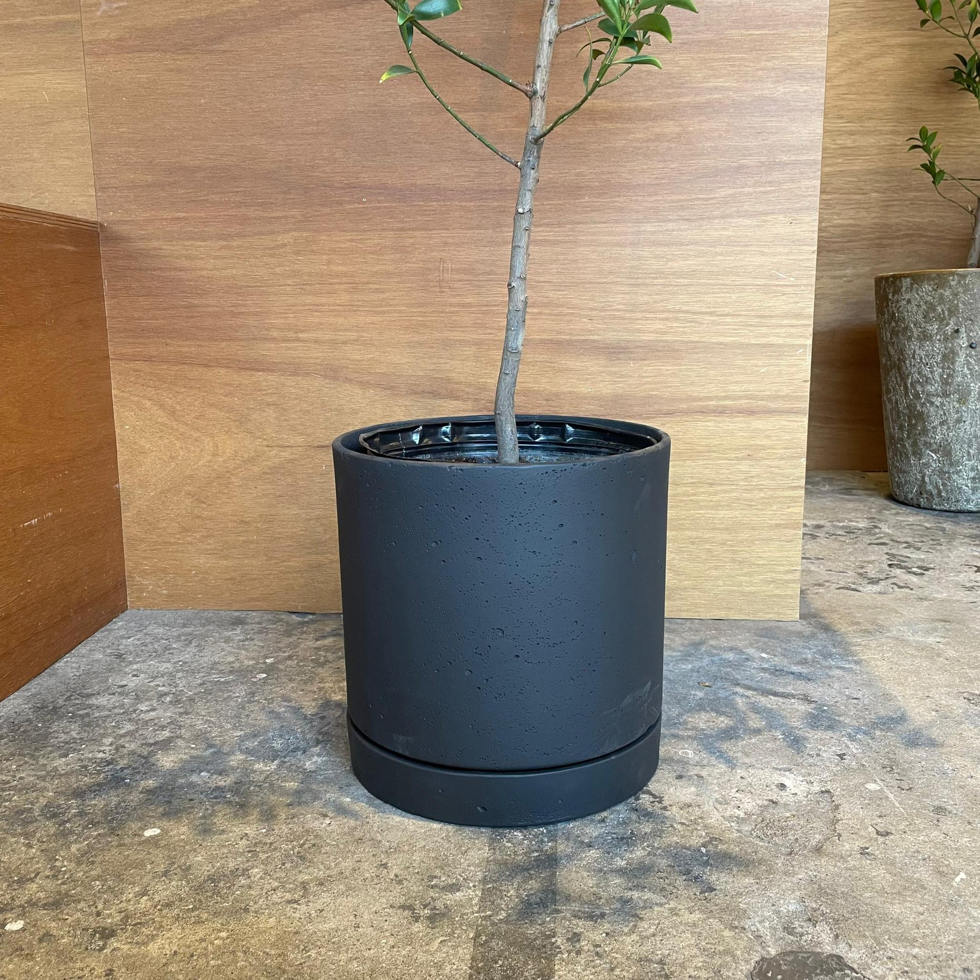 Speckle Planter with saucer  スペックルプランター ソーサー付