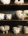 Subliminal Planter by Buzzby & Fang サブリミナルプランター