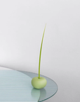 Fruit Vase in Green by Ha'