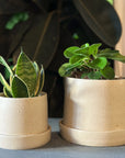 Stoneware Planter in Stone by Kristin Olds ストーンウェアプランター