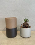 Bowl in Gloss Gray by Hasami Porcelain 　ボウル グロスグレイ