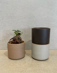 Bowl in Natural by Hasami Porcelain　ボウル ナチュラル