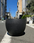Bowl Planter ボウルプランター