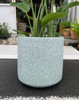 Shadow Planter シャドウプランター