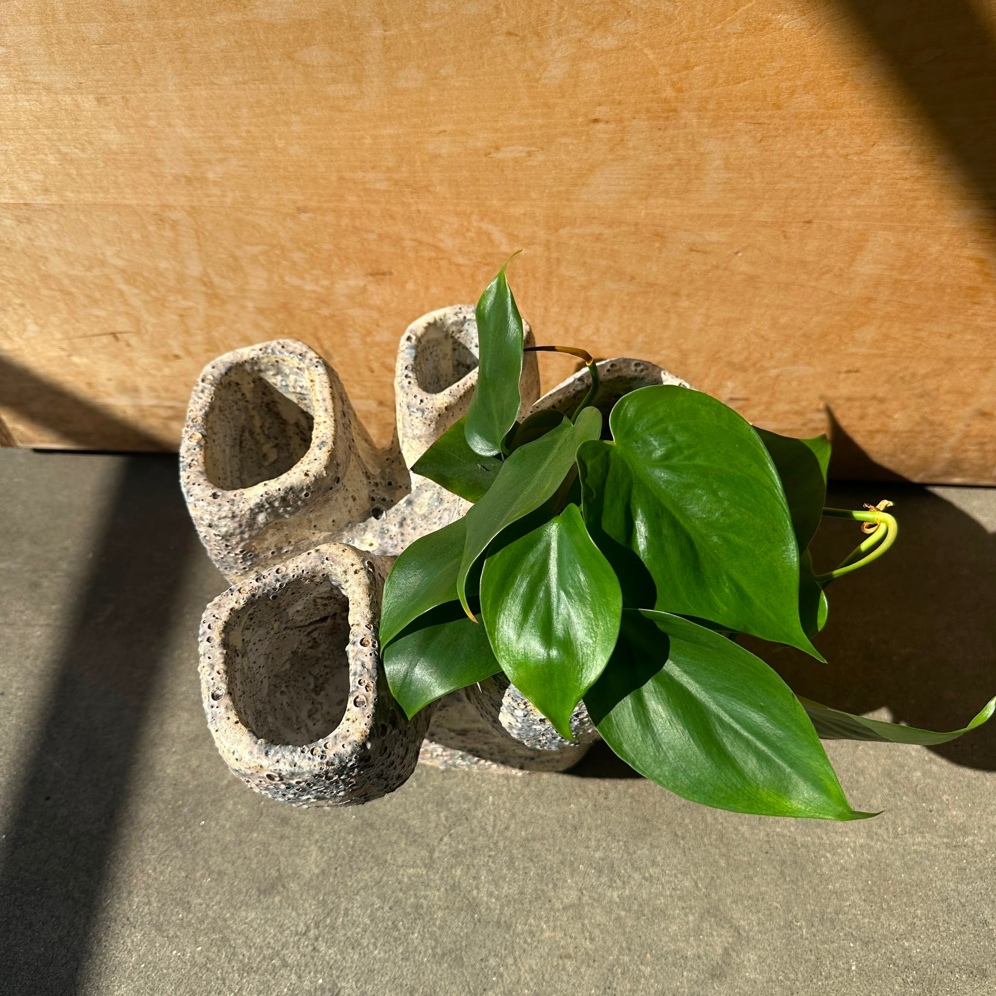 Mini Quad on Plinth Planter by Buzzby &amp; Fang ミニクアッドオンプリンスプランター