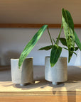 Pedestal Planter in Natural by Katie Cudal ペデスタルプランター