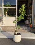Round U Planter Mono ラウンドUプランターモノ