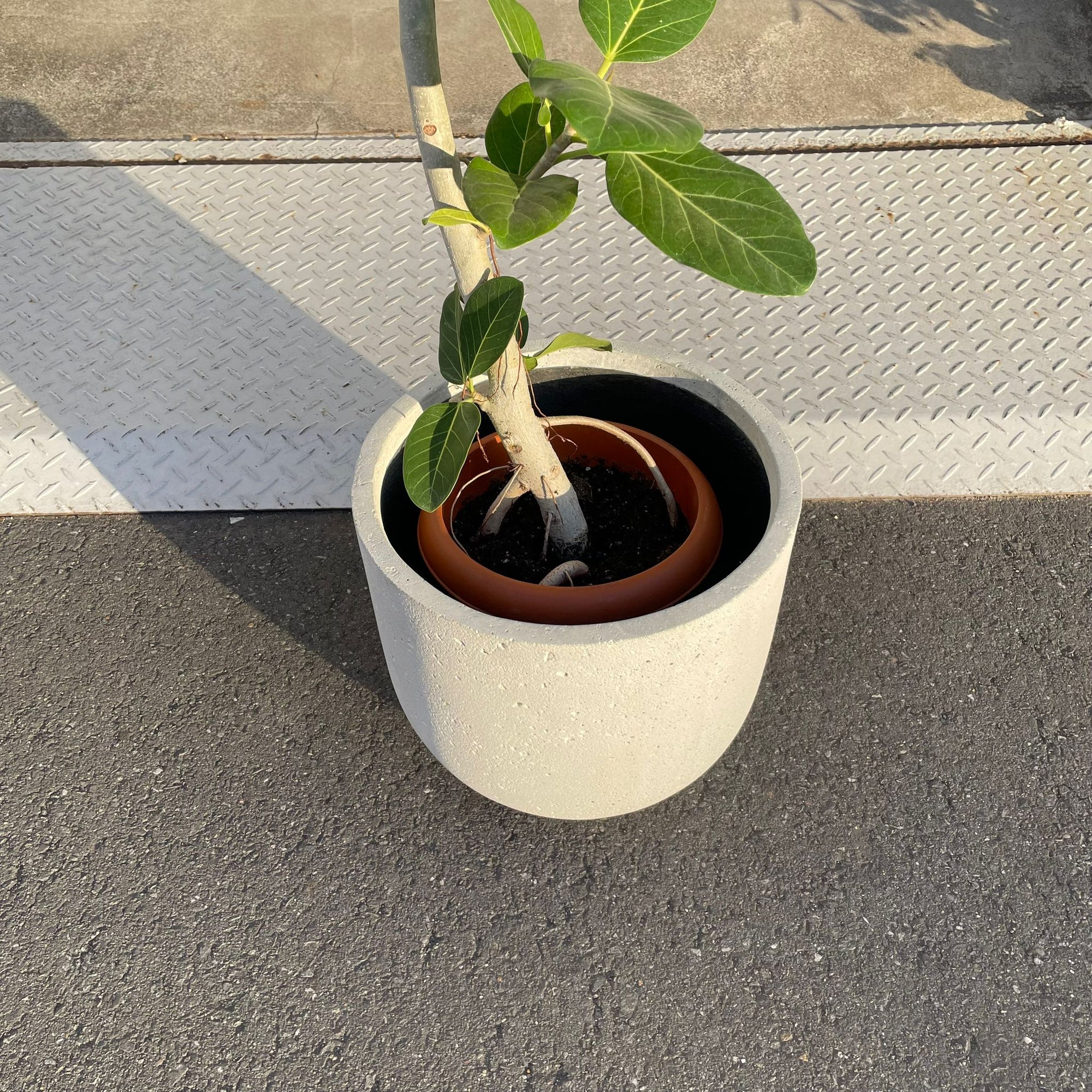 Round U Planter Mono ラウンドUプランターモノ