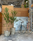 Esna Planter エスナプランター
