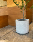 Shadow Planter シャドウプランター