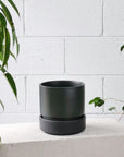 Cora Planter  by The Plant Society コラプランター