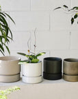 Cora Planter  by The Plant Society コラプランター