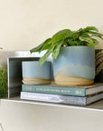 Blue Frost Planter by Leaf & Thread ブルーフォレスト プランター