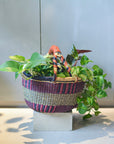 Basket from Africa  アフリカン バスケット
