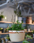 Desert Brass Hanging Planter by Leaf & Thread  デザート ブラス ハンギング プランター