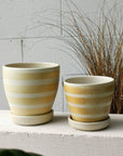 Apricot Stripe Wood Fired by Sandra Bowkett アプリコット ストライププランター
