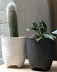 Tall Tripod Planter by Buzzby & Fang トール トライポッドプランター