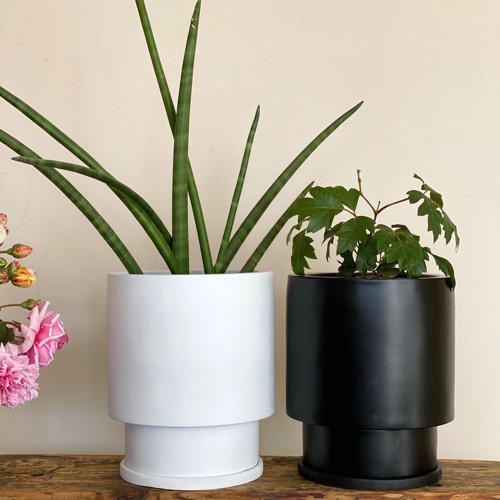Midi Low Tower プランター by The Plant Society x Capra Designs I
