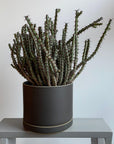 Planter in Black by Hasami Porcelain　プランター ブラック ハサミポーセリン