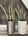 Planter in Black by Hasami Porcelain　プランター ブラック ハサミポーセリン