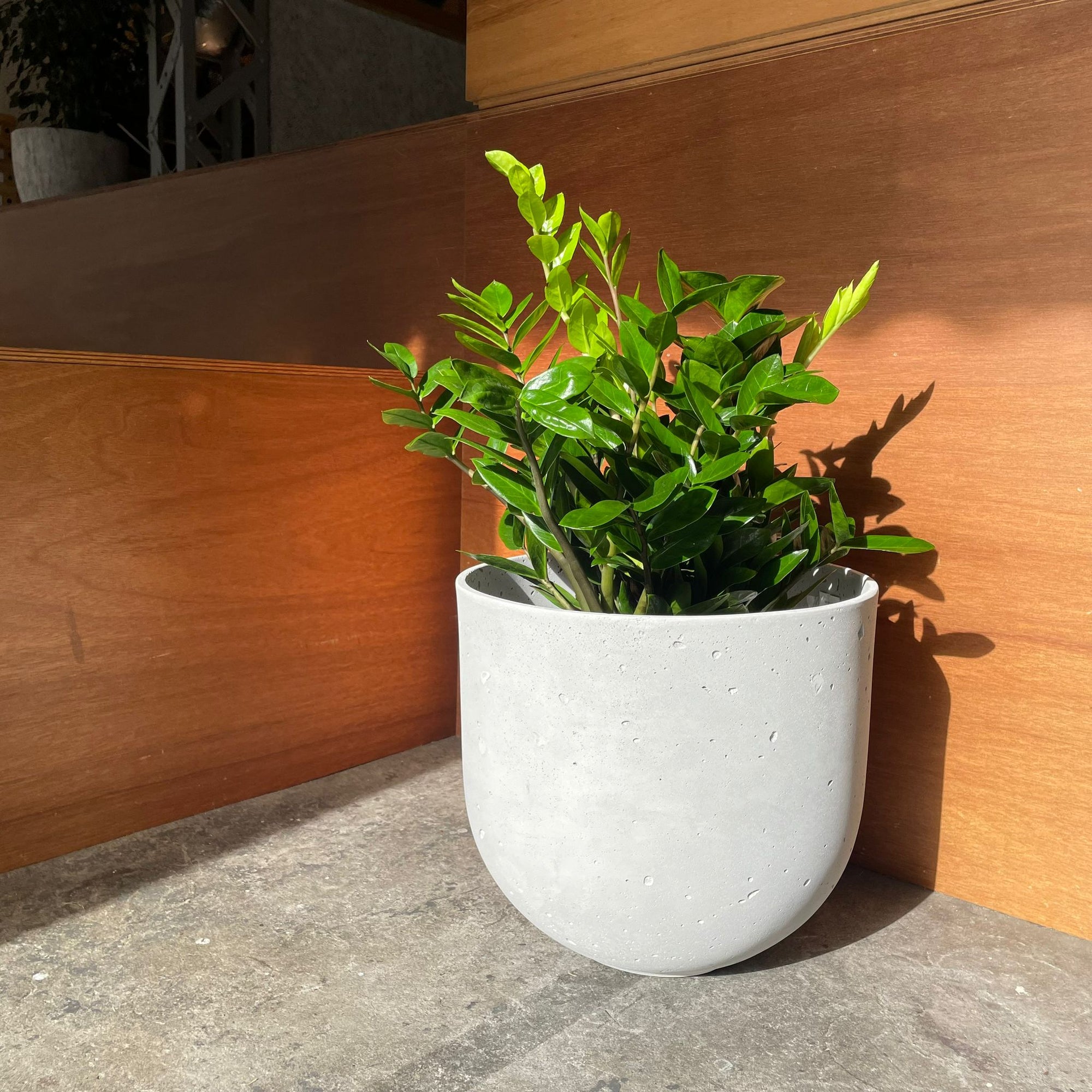 Speckle Planter U-style スペックルプランター U