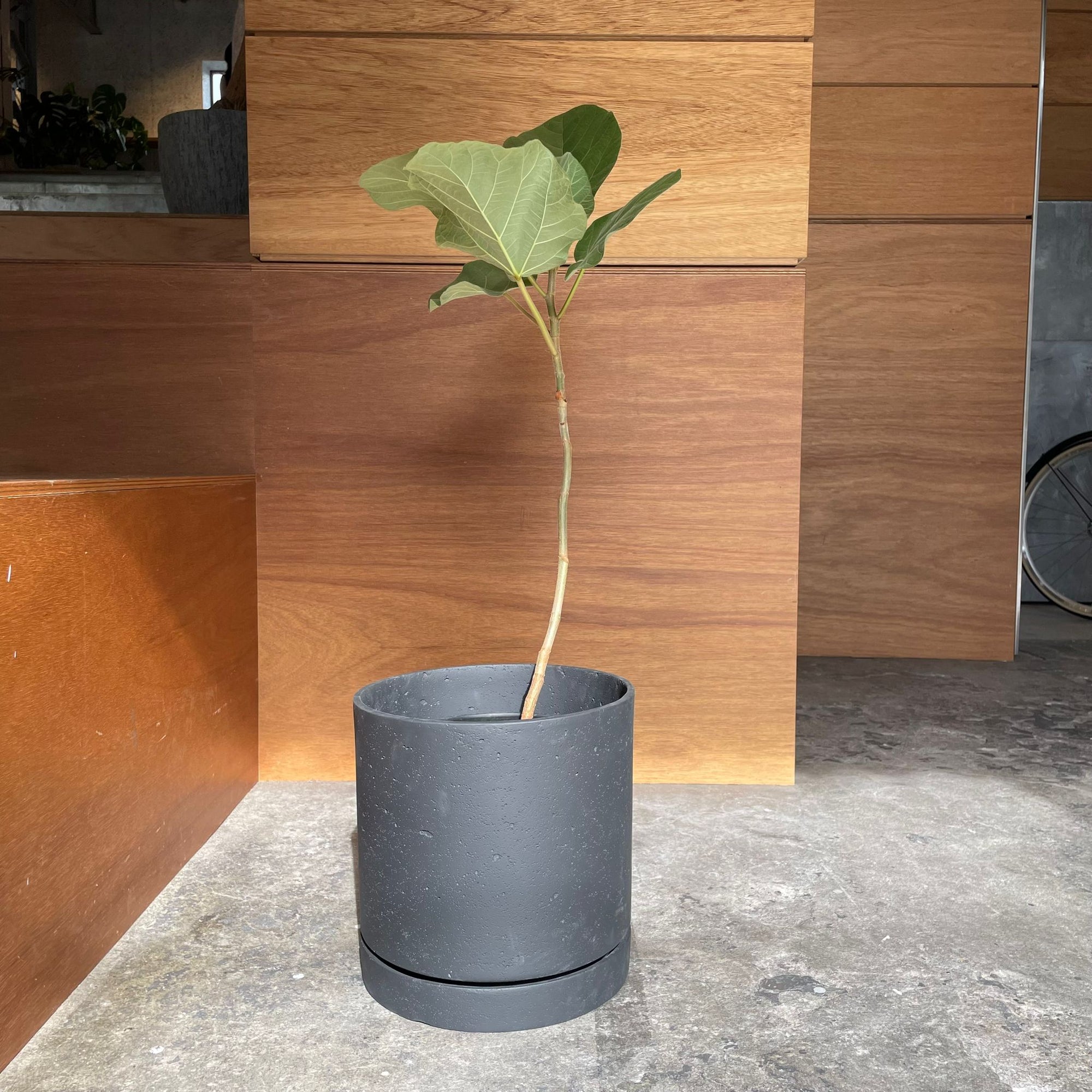 Speckle Planter with saucer  スペックルプランター ソーサー付