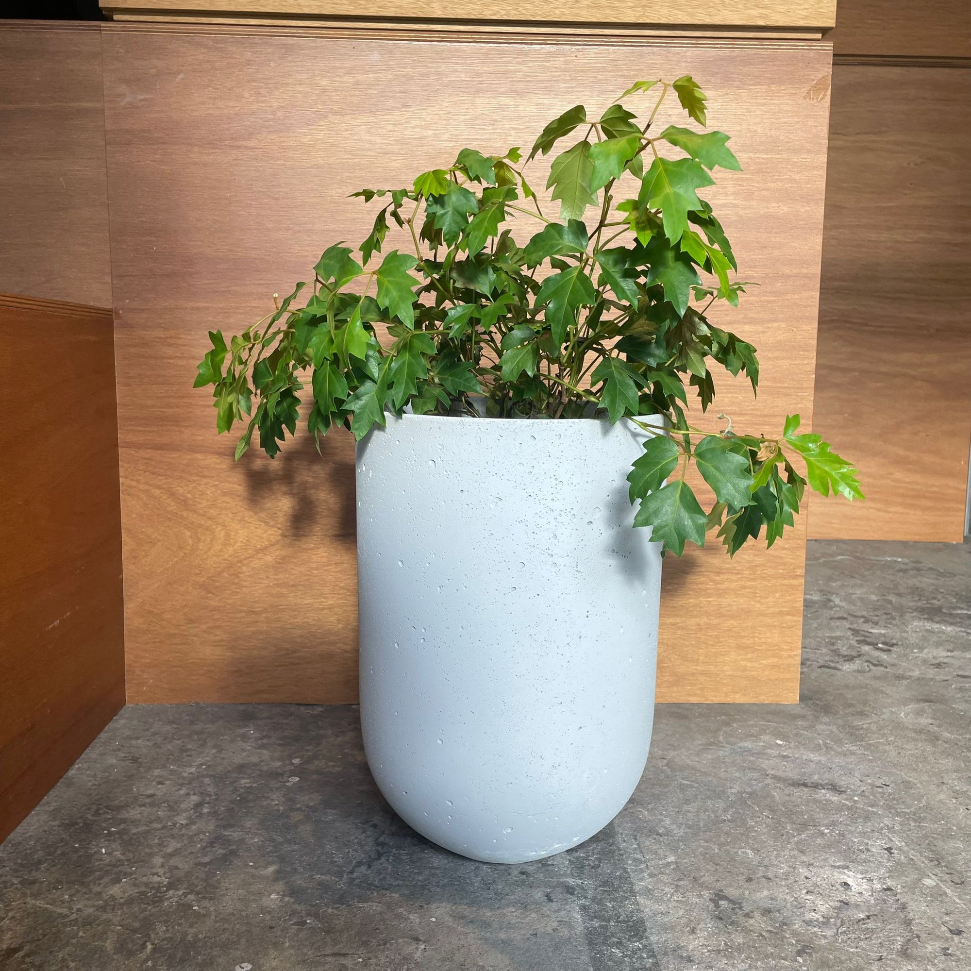 Speckle Planter U-style スペックルプランター U